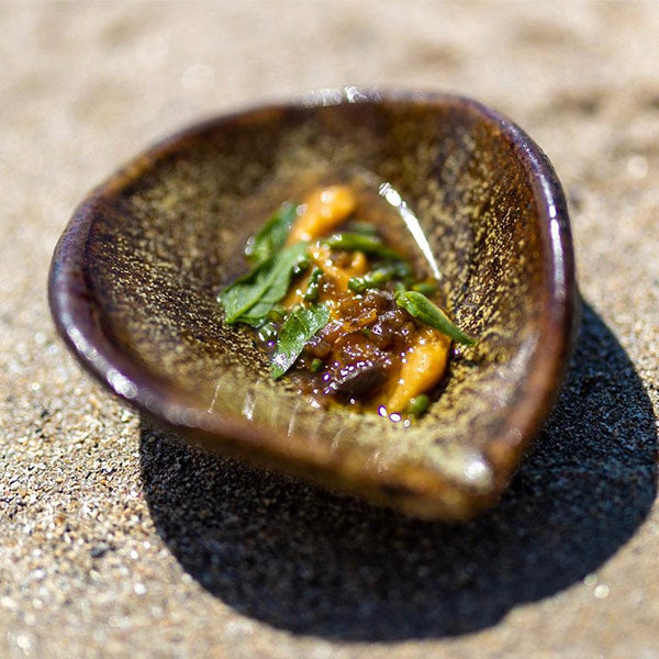 Everything You Need to Know About Sea Urchin Uni