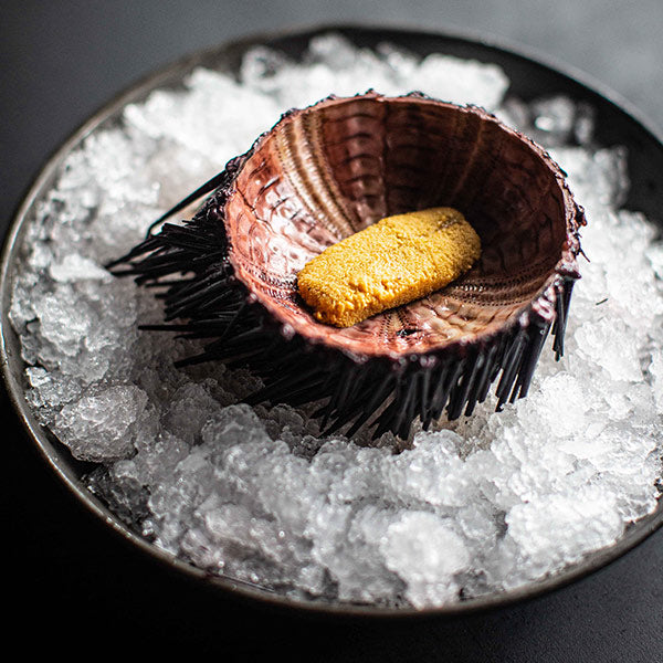 Buy Uni Online From Trusted Harvesters