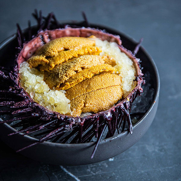 Raw Sea Urchin with Citrus Granita